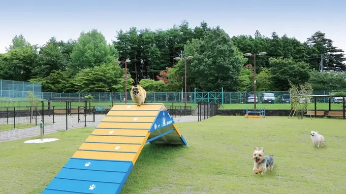 【ドッグラン】小型犬専用エリアとフリーエリアが分かれているので安心！各種アジリティも充実♪