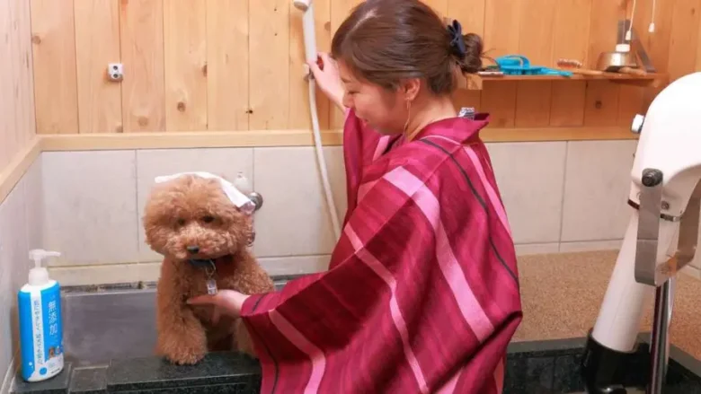 わんちゃん用温泉