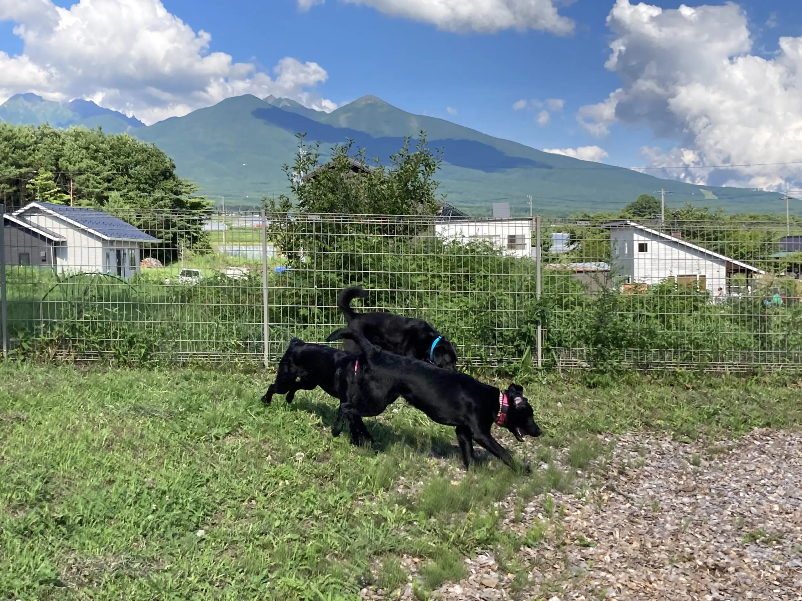 山々を望み開放感ある広々ドッグラン