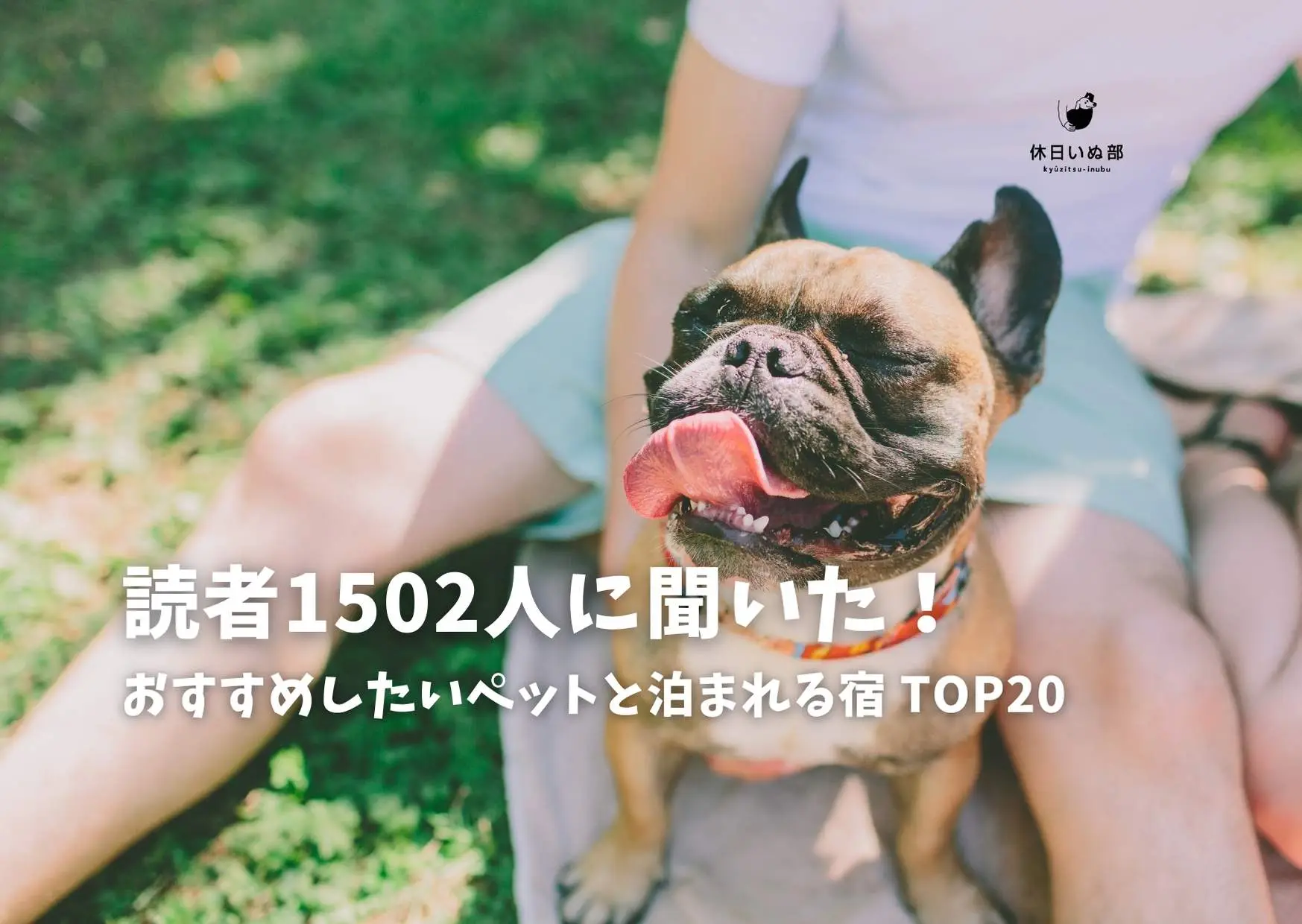 読者1502人に聞いた！おすすめしたいペットと泊まれる宿 TOP20