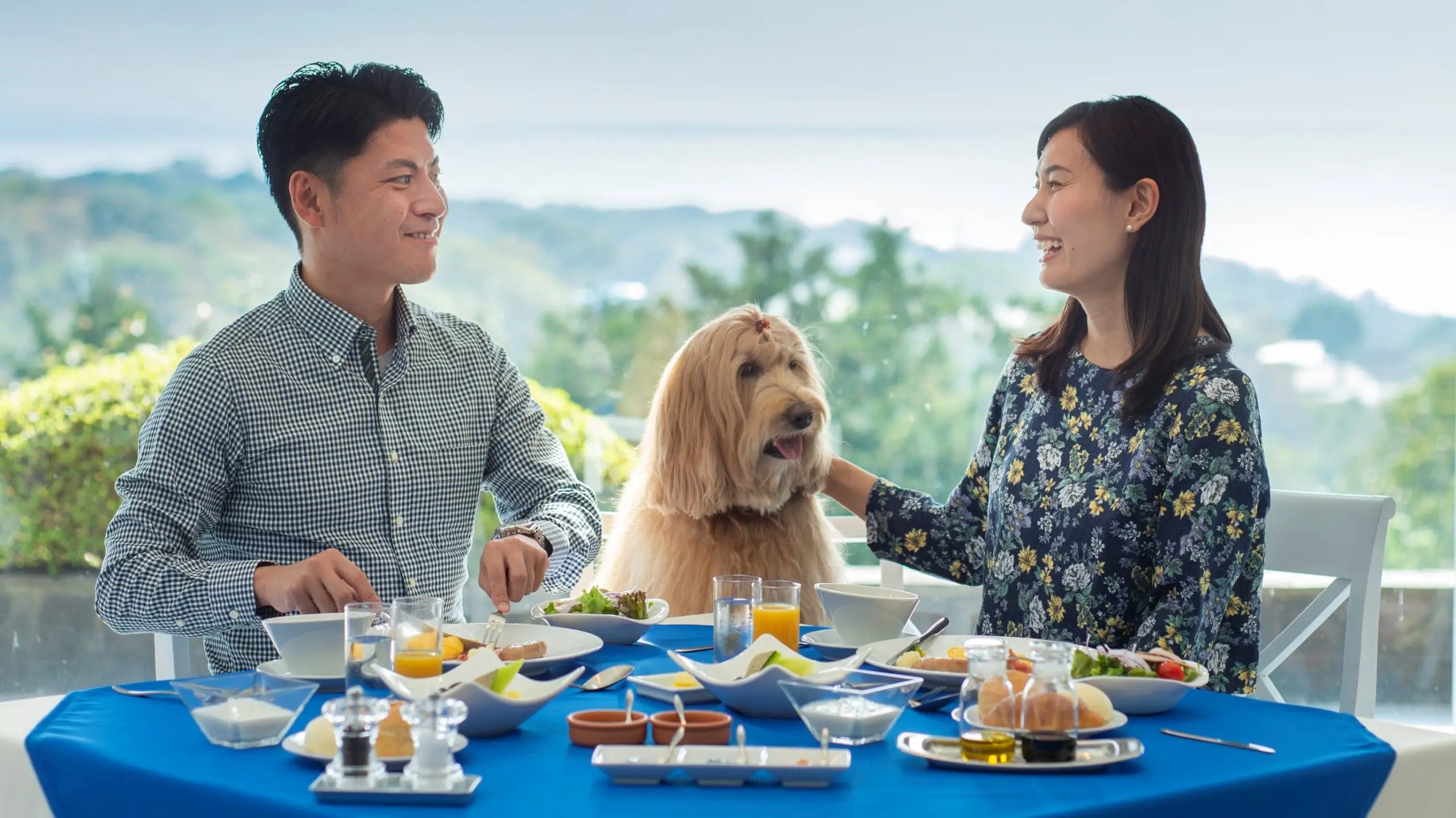 愛犬と一緒に爽やかなご朝食を