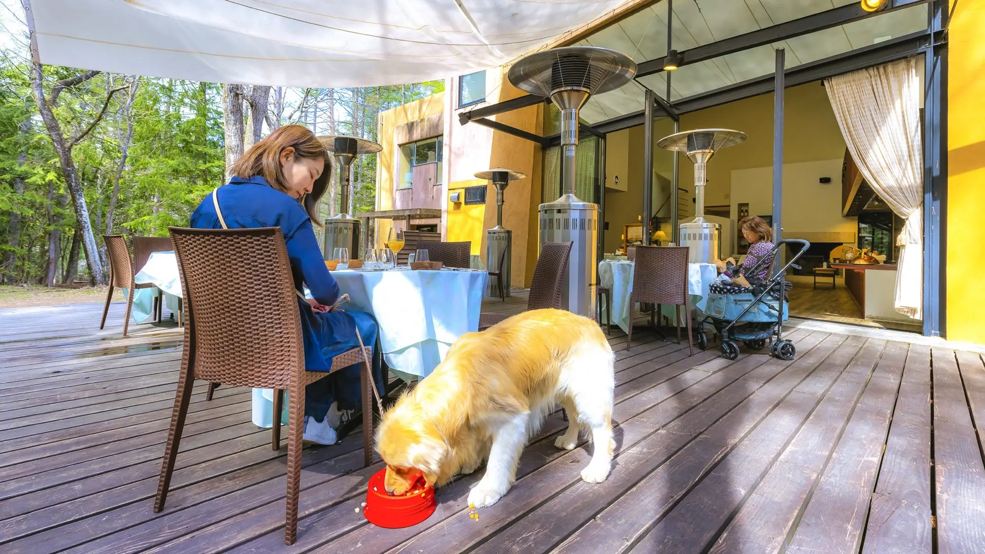 愛犬もご一緒にお食事を♪