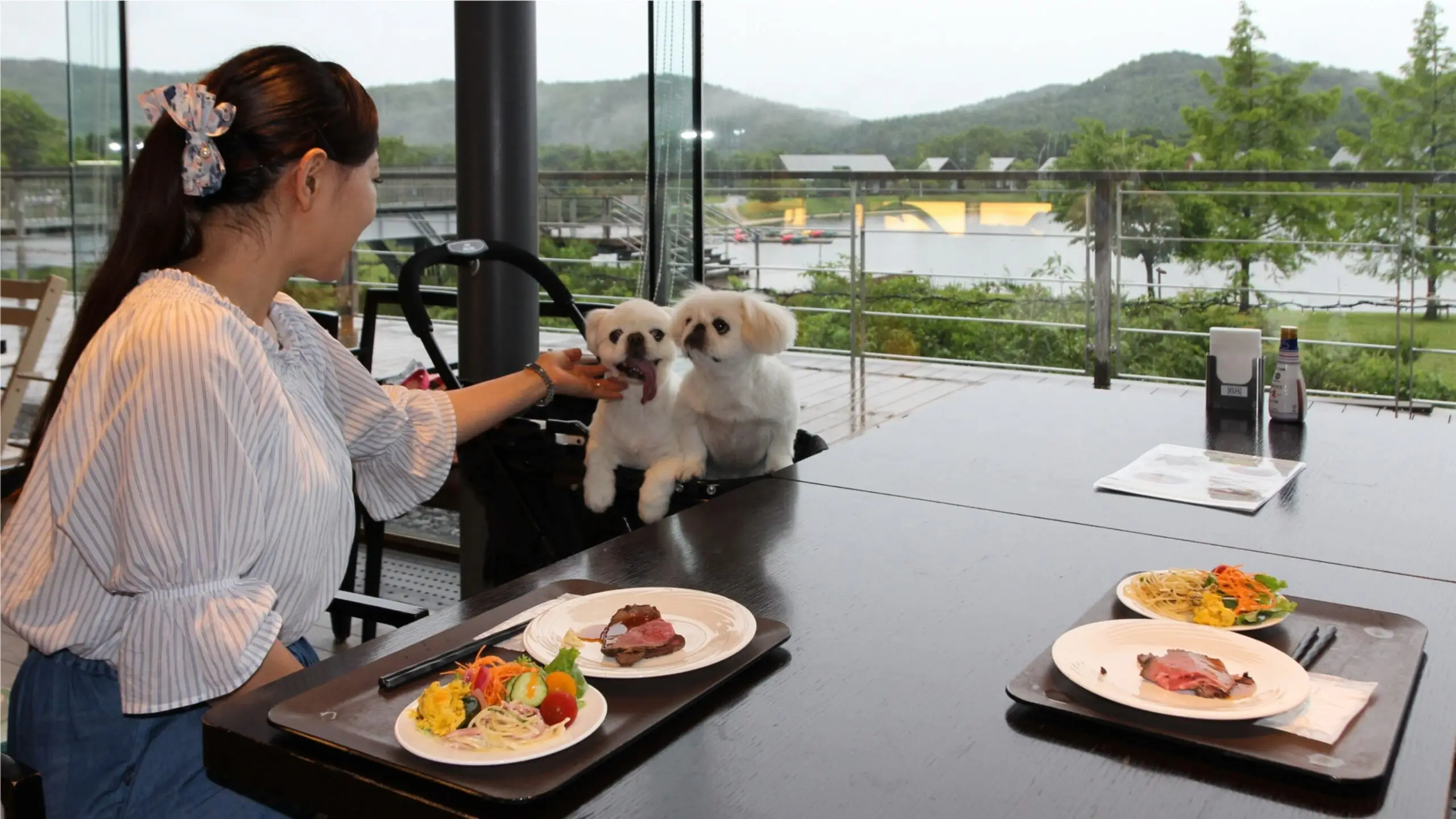 魅力写真2（ワンちゃんと一緒に楽しむお食事）