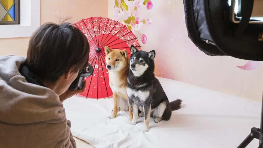 こだわりタイトル（愛犬連れに寄り添った館内施設やサービスがたくさん）