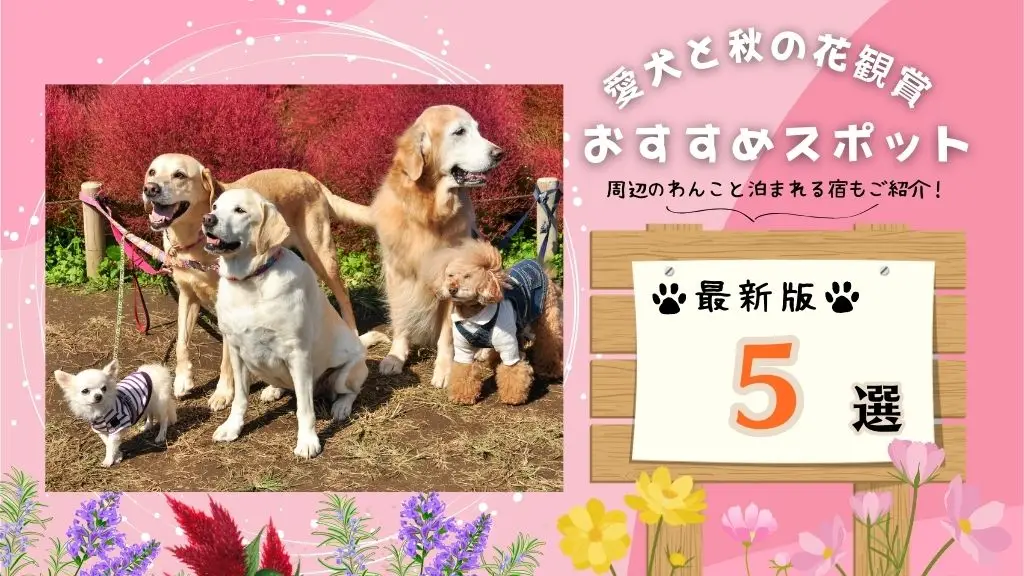 【2023年最新版】愛犬とおでかけ♪秋の花観賞おすすめスポット５選