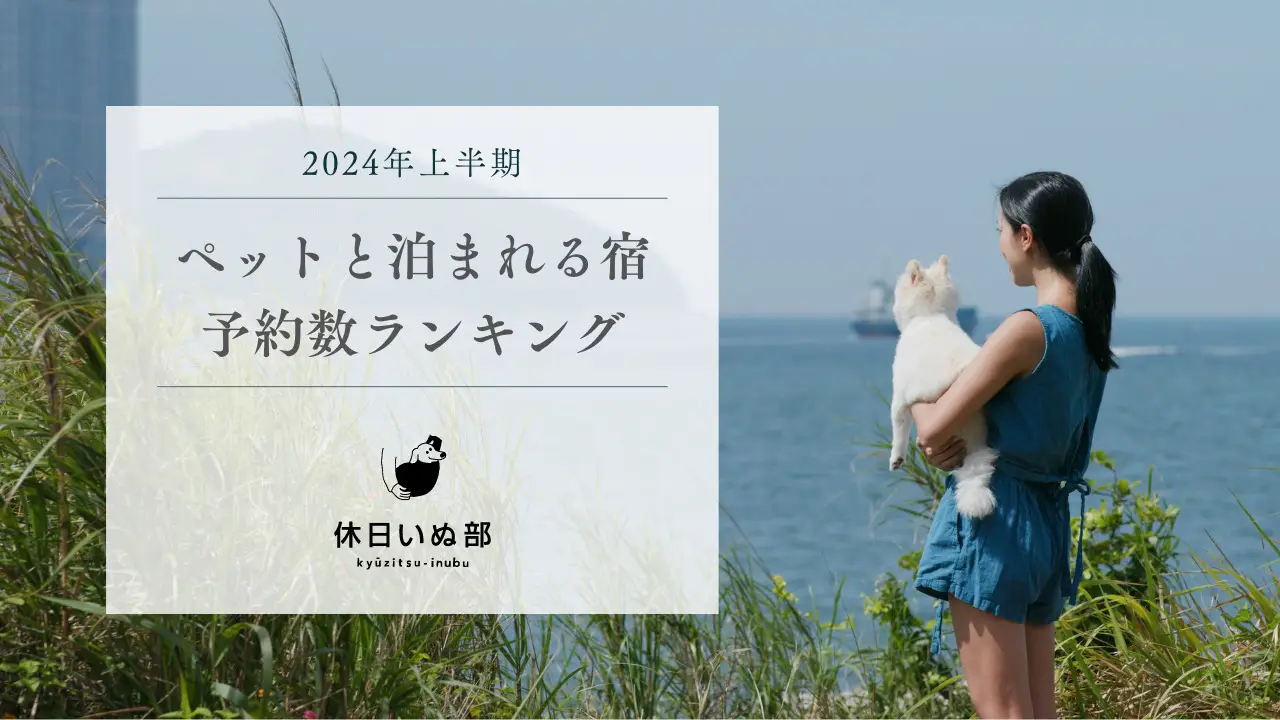 休日いぬ部、2024年上半期の 「ペットと泊まれる宿 予約数ランキング」を発表