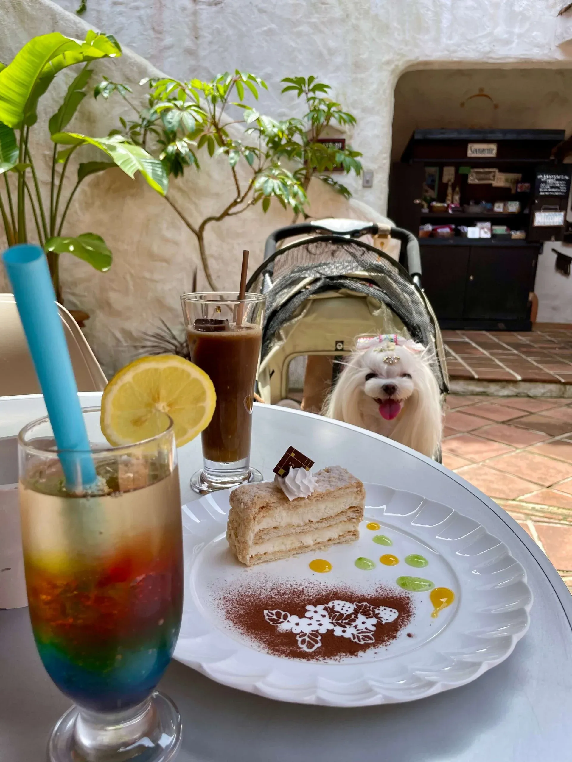 カフェ・アミーゴにはリードフックもありわんこと一緒に利用しやすいです。