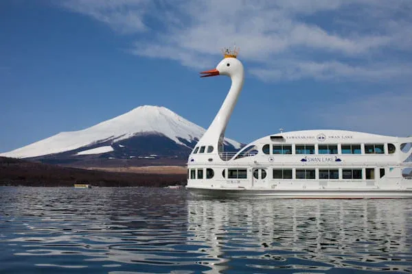 白鳥の湖号（冬）