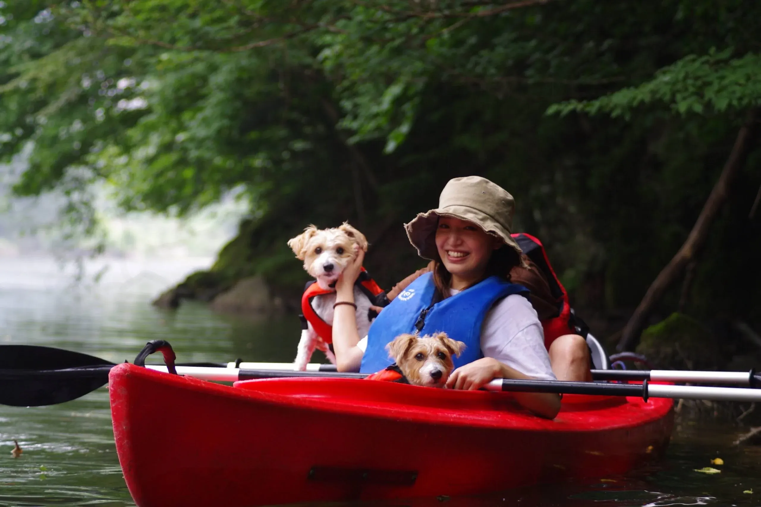 愛犬も一緒に乗って楽しめます！