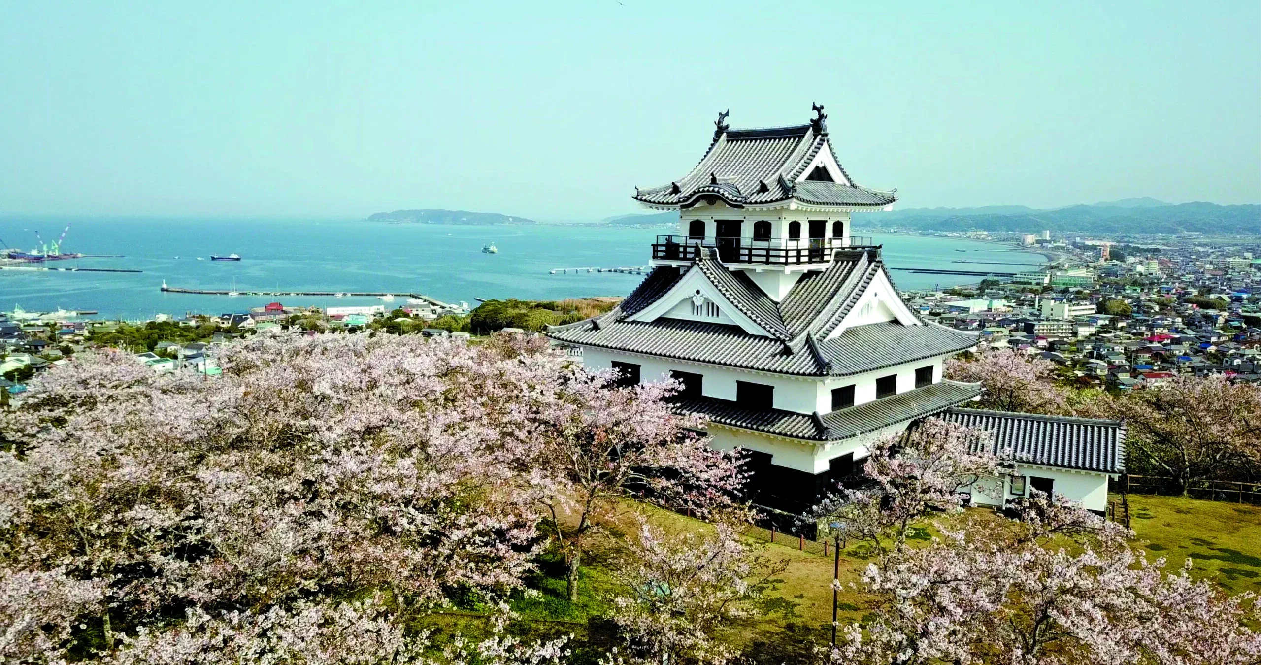 城山公園の山頂に佇む館山城。
春には館山城を囲むように桜が咲き、荘厳な雰囲気に包まれます。