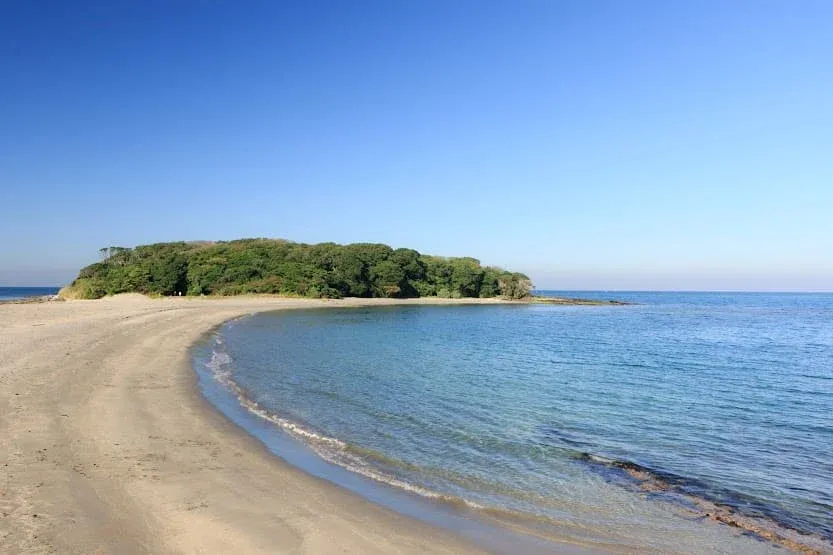 沖ノ島は館山湾の南端に位置している周囲約1kmの無人島で、南房総国定公園の1つ。