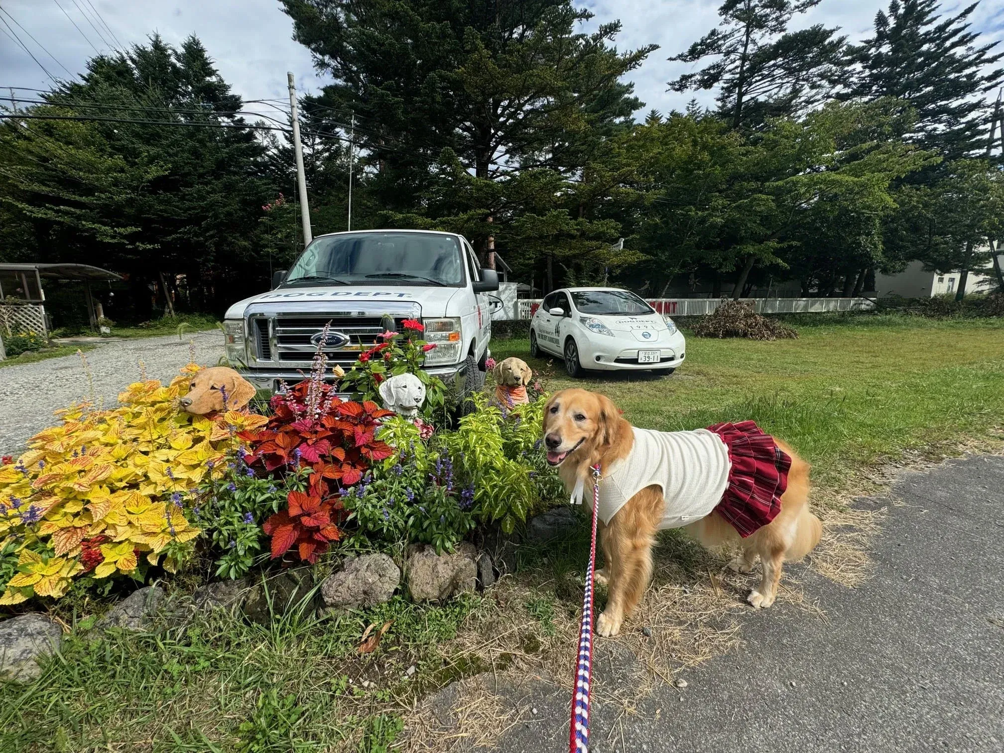 道路沿いのこのわんちゃんたちが目印！