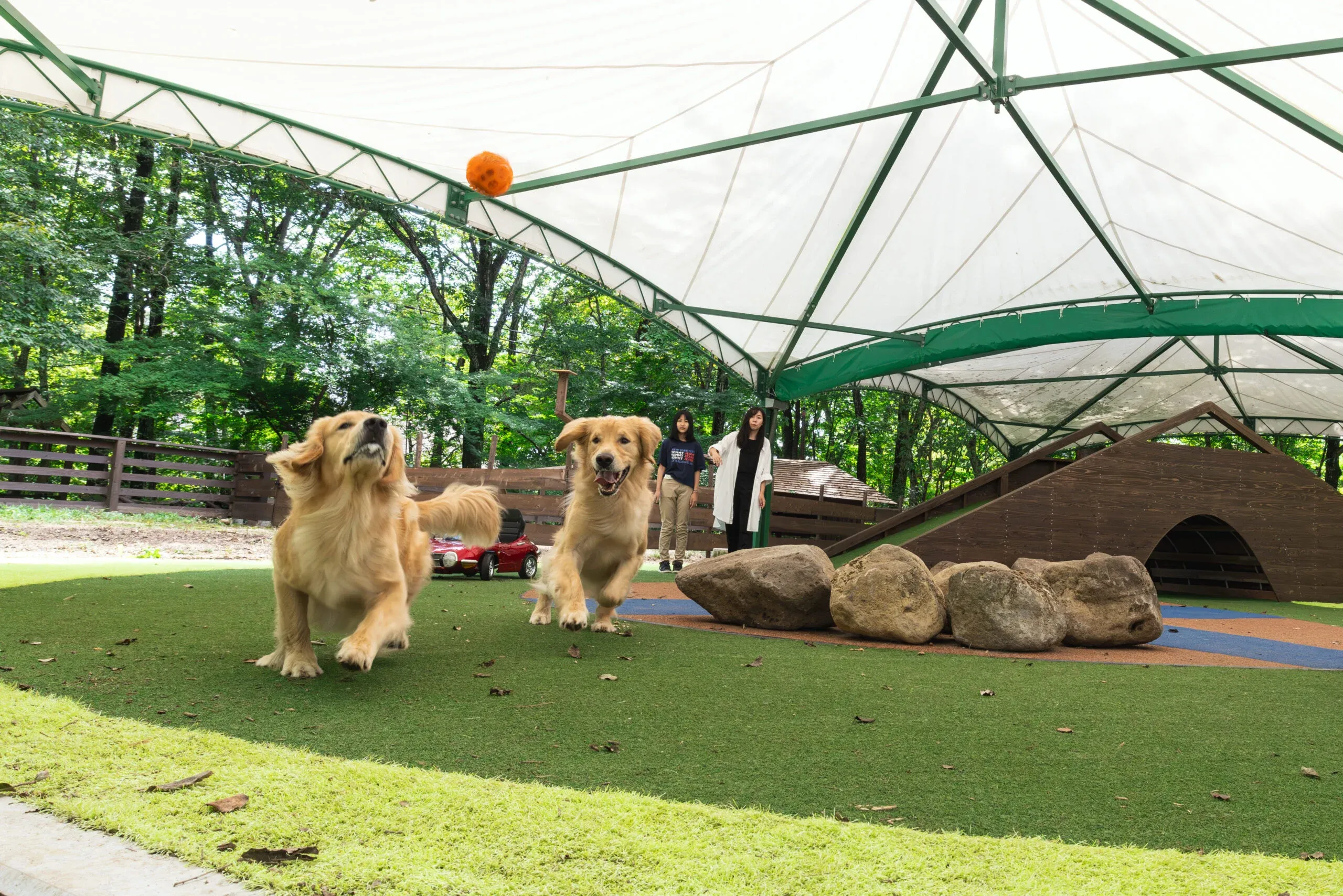 屋根付きドッグランもあるので、いつでも思いっきり走れます。雨の日でも遊べて、飼い主の紫外線＆日焼け対策もばっちり！