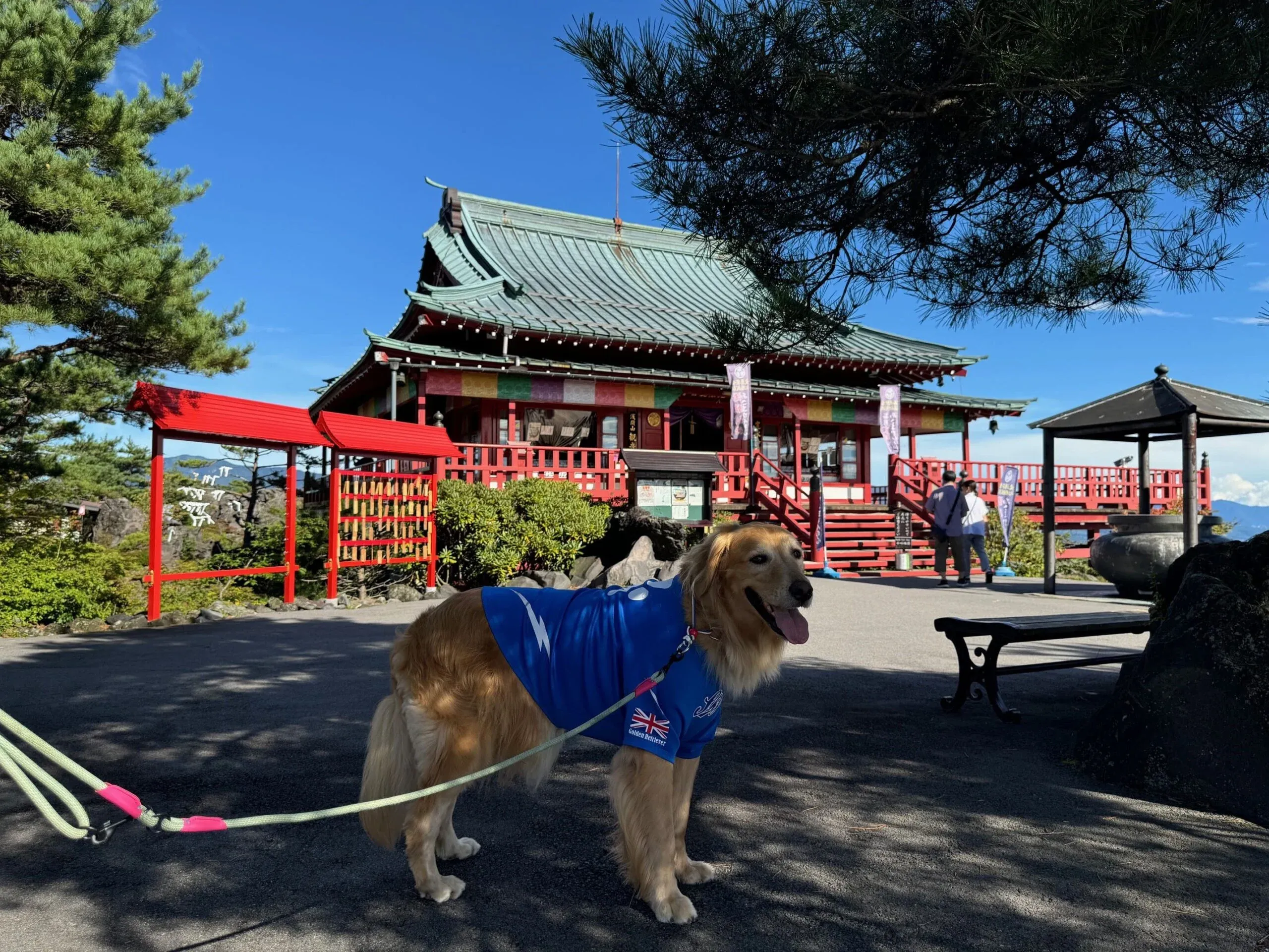 ☆鬼押出し園☆中央にある「浅間山観音堂」の本堂。抱っこできるわんちゃんは、お堂の中に入ってお参りできます。大きい子はここでお参りしましょう。犬用のおみくじもあります。