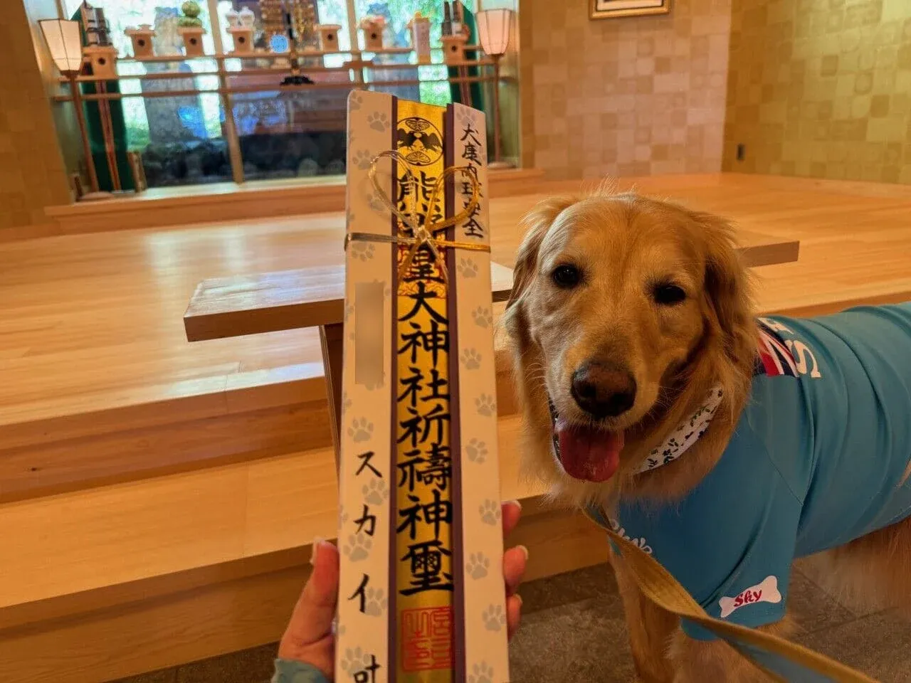 ぼくちんだけのために8歳の健康祈願をしてもらいました！初宮参り、七五三、愛犬の病気のお祓い、健康祈願など、あらゆるご祈祷をしてくださいます（ご祈祷は事前にご予約を）。