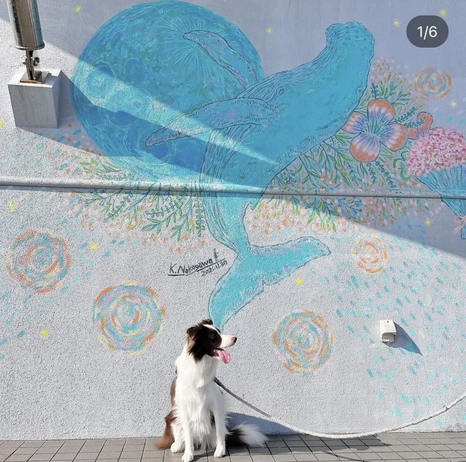 展望テラスには壁面アートが描かれているため、記念撮影にピッタリ♪
｜写真提供：@bordercollie.ramuさま