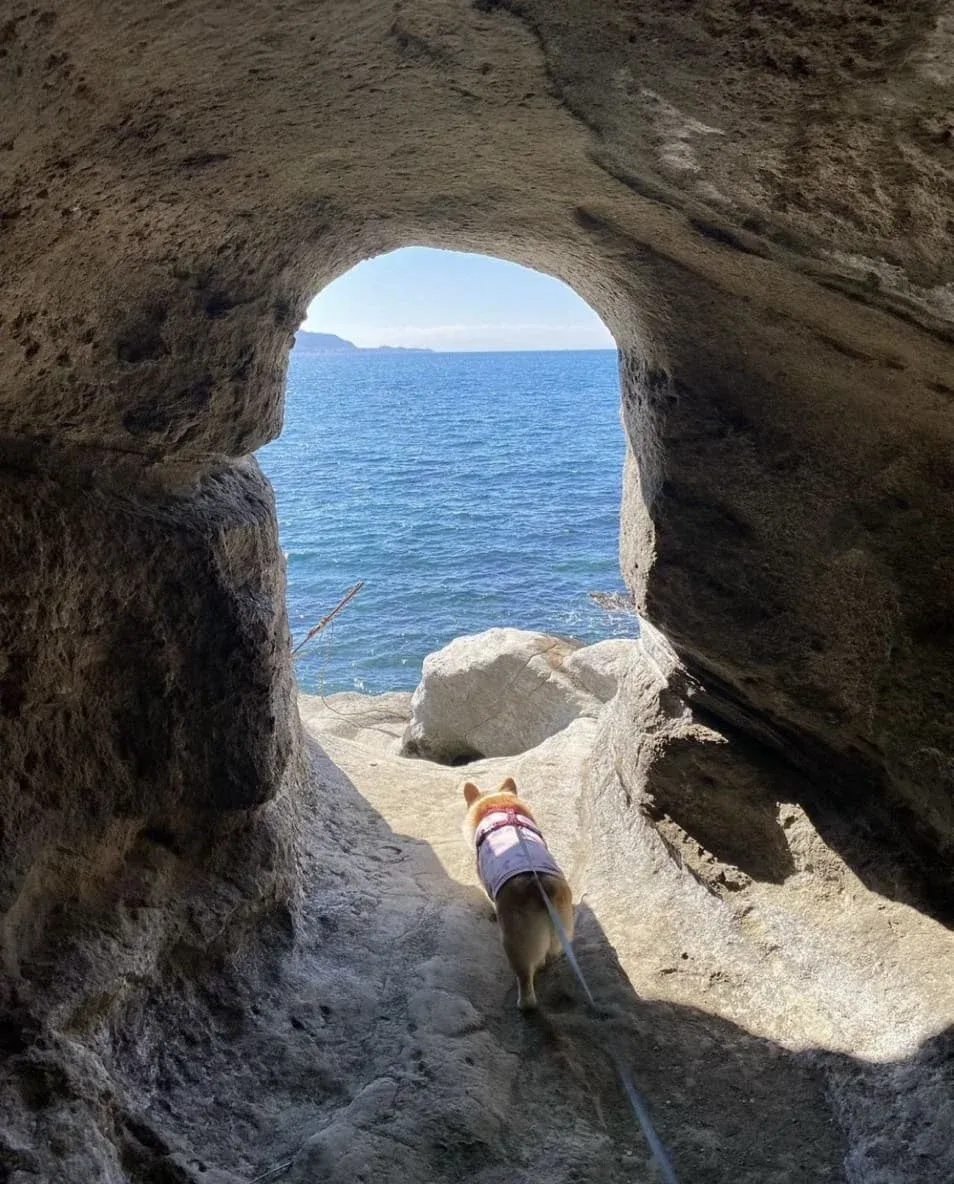 洞窟の出口で縁取られた海は、絶好の写真スポット♪
｜写真提供：@hiro.taiさま