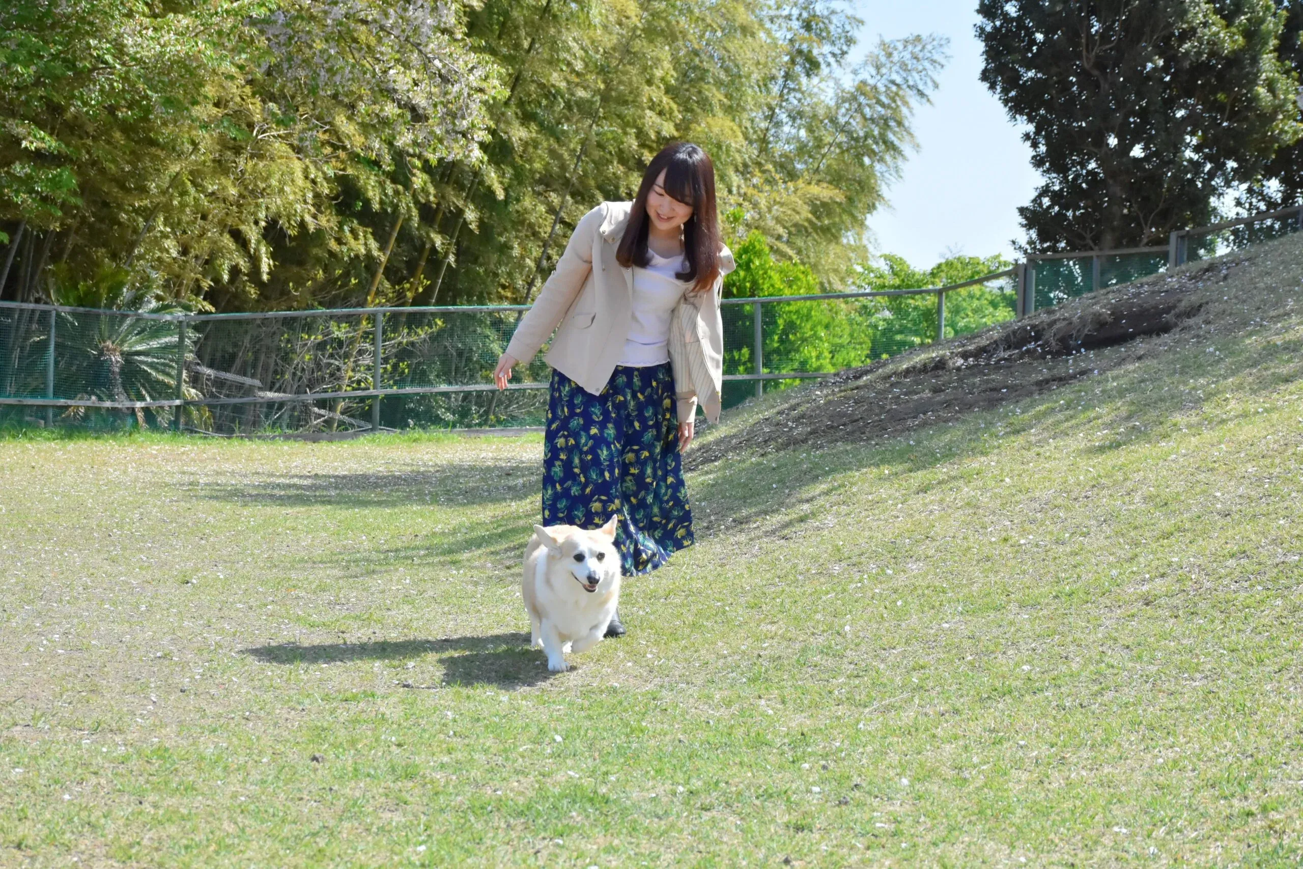 広々ドッグランで旅の疲れも発散できます！