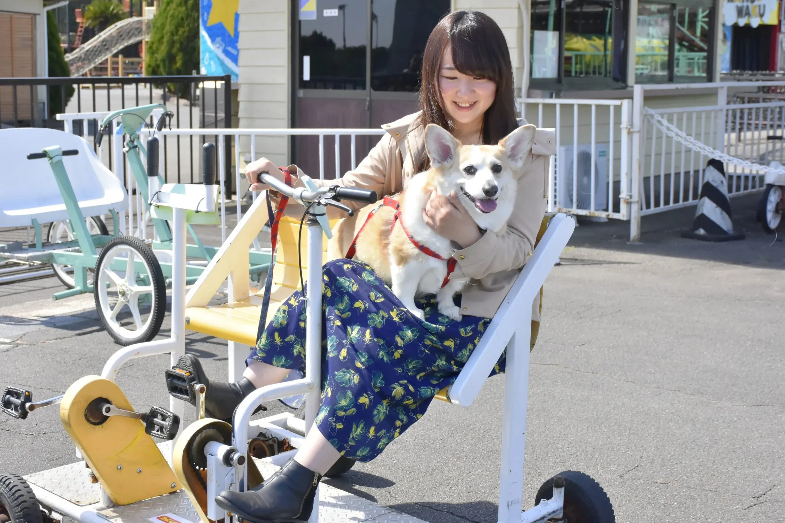 いろいろな珍しい形の自転車にワンちゃんも一緒に乗れます！