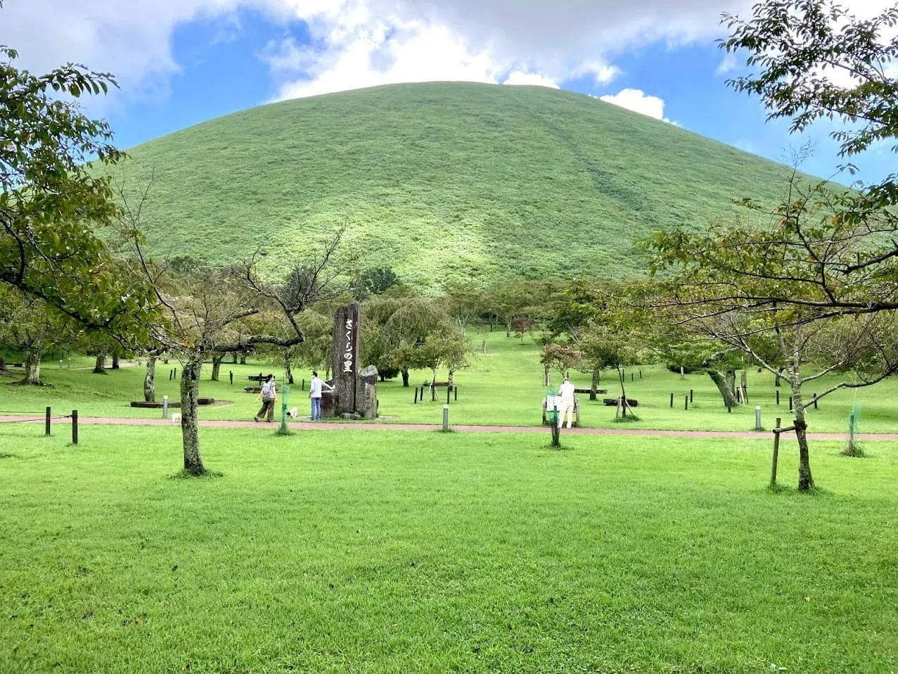 年間通して季節折々の景色を楽しめるさくらの里。