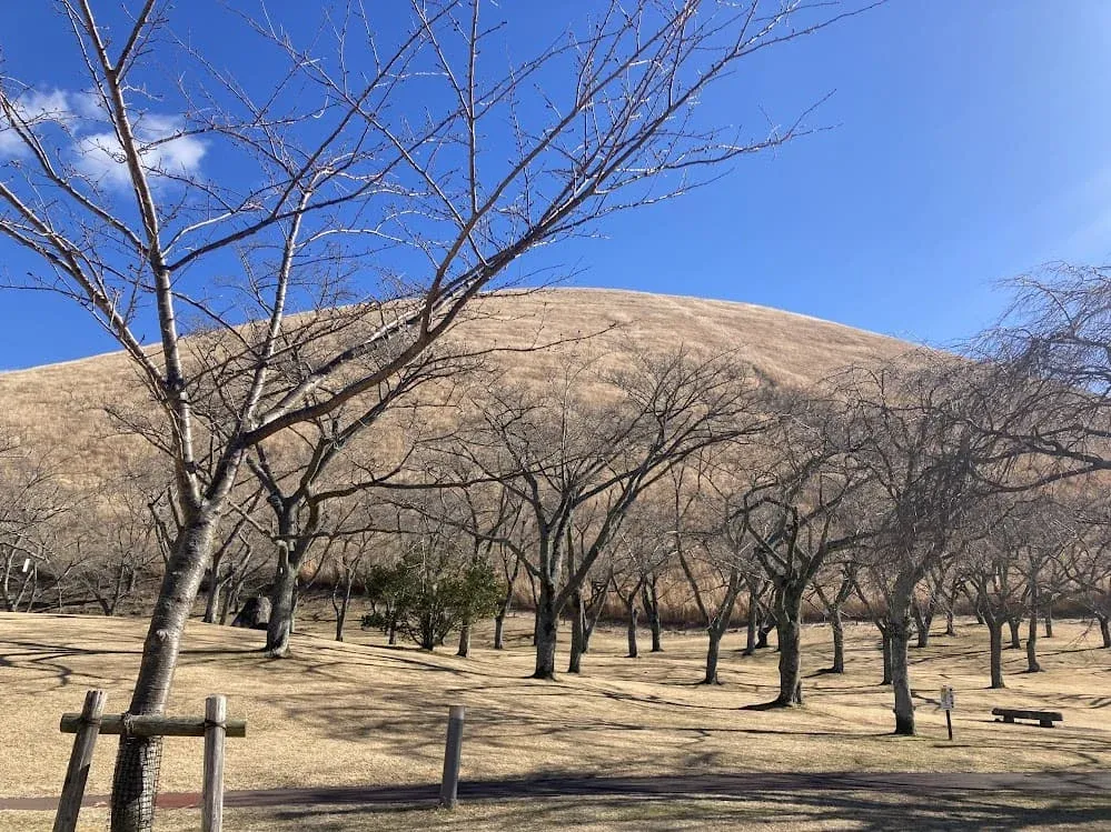 静かで穏やかな秋から冬にかけての大室山もおすすめ。