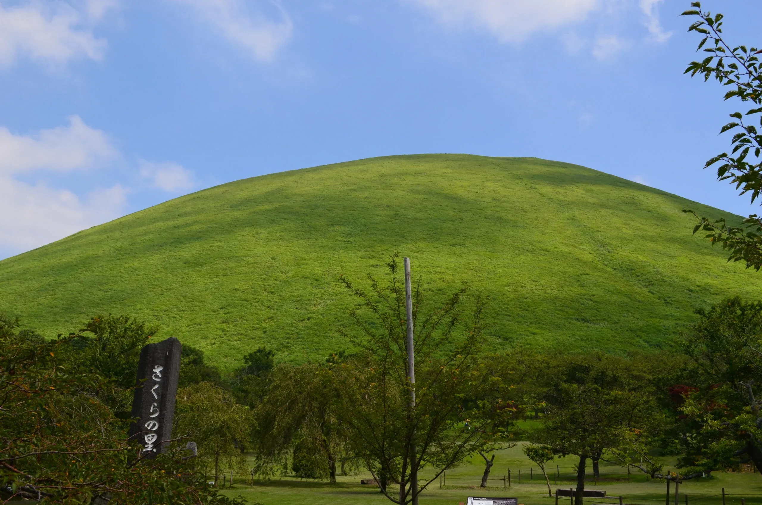 ふもとさくらの里から見た大室山。