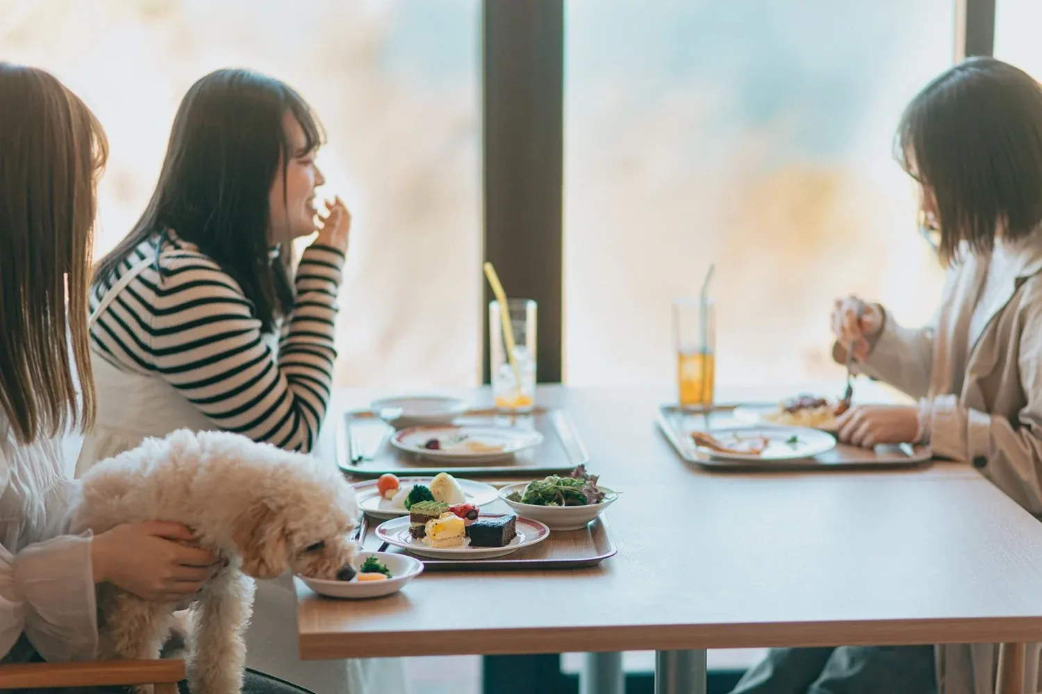 愛犬と食事