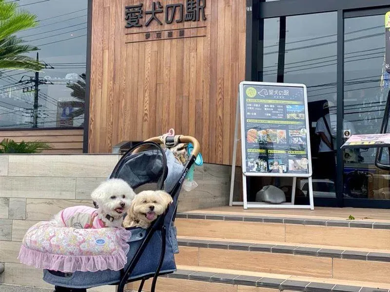 室内ランもあるから雨の日でも楽しめます！