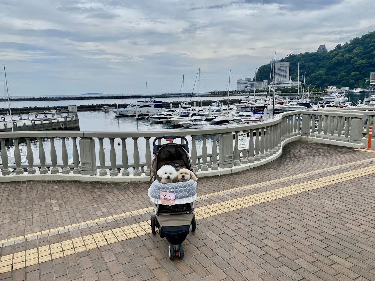 地中海のリゾート地のような公園と海岸。