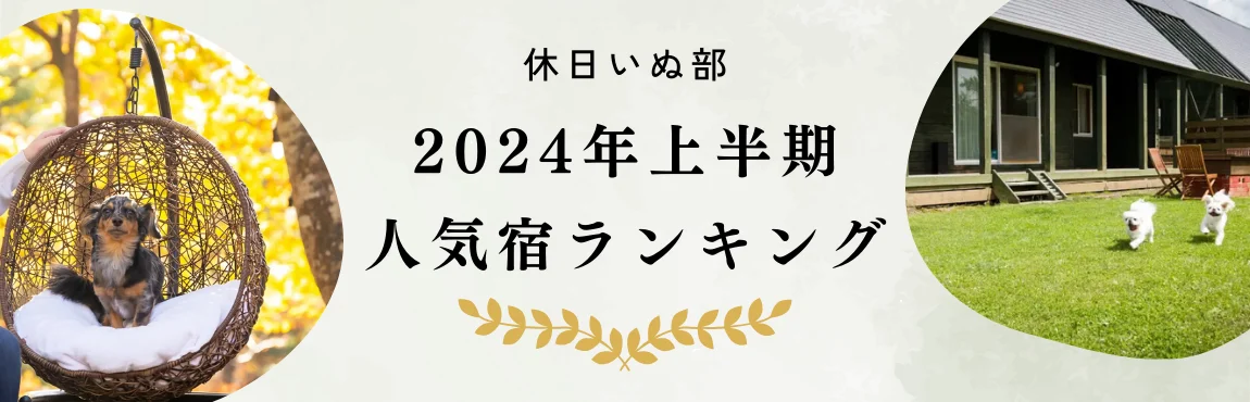 新規入会キャンペーン