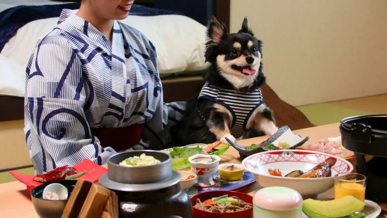 部屋食(イメージ)