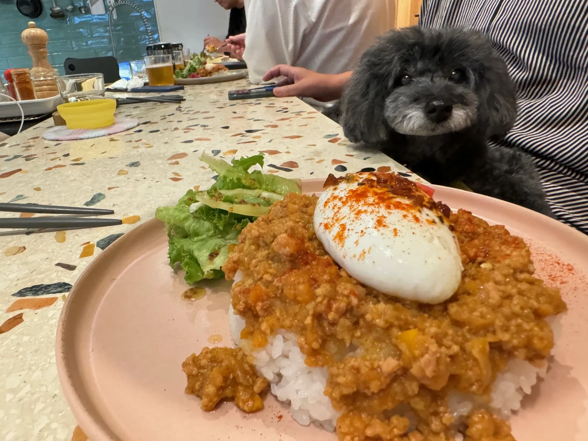 ★PUBLIC食堂★グリーンカレー。店内もワンちゃん一緒OK。店内はウンターのハイチェアーだから、ママのお膝で。カートが便利かも。