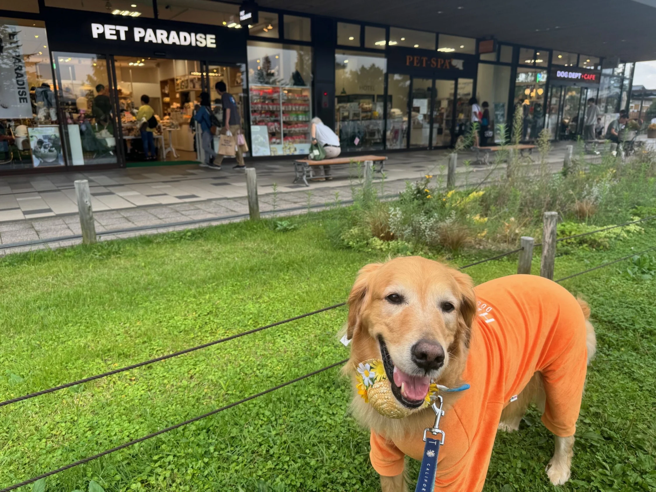 この３つのショップがペットのお店。