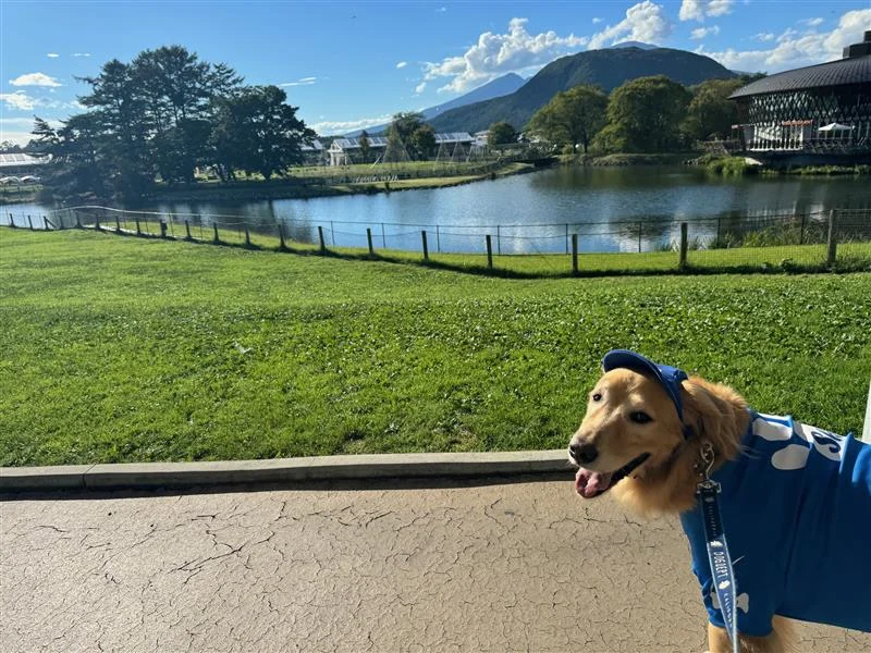 グリーンの芝、青い空に愛犬もウキウキ！豊かな自然が美しいく、ワンコとの散歩にぴったり。