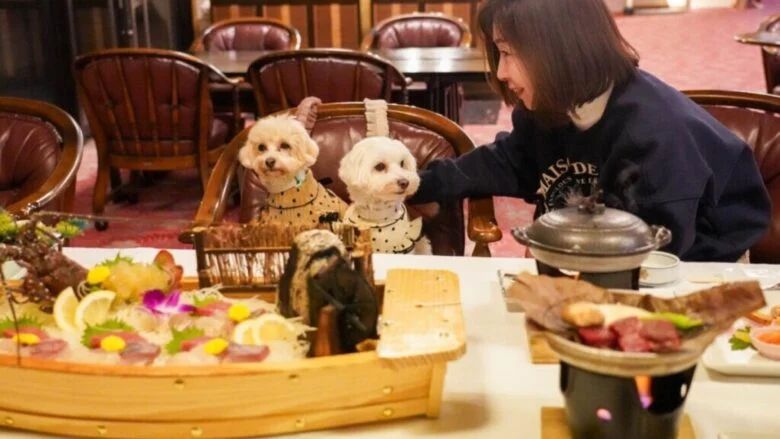 愛犬同伴OKの食事会場で一緒にお食事♪
