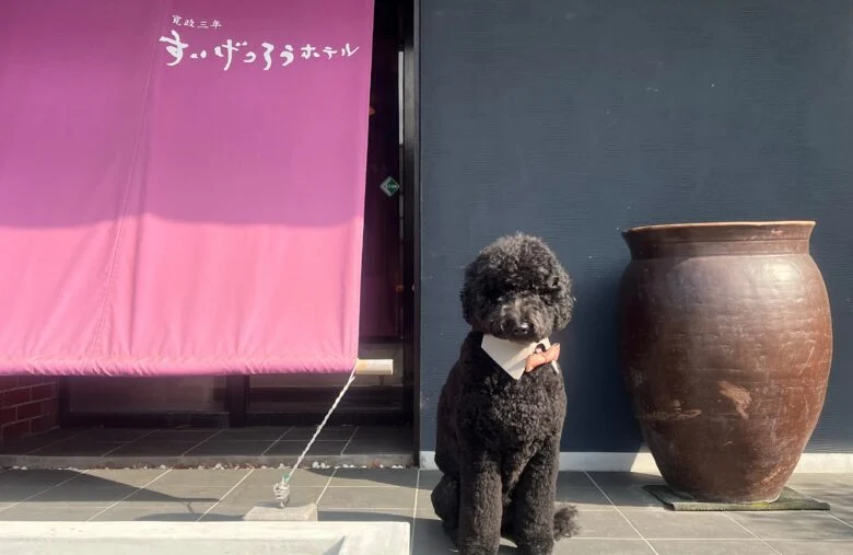 看板犬やくもでありんす！アチキに会いに来ておくれでありんす