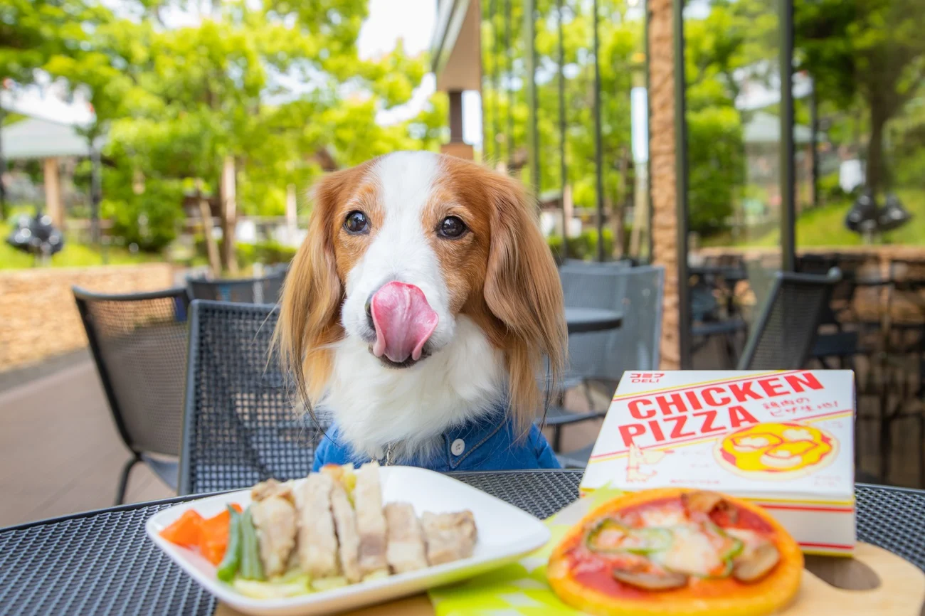 愛犬用メニューでわんこもお腹いっぱい♪ ペット連れのお客様は、テラス席またはベンチをご利用ください。