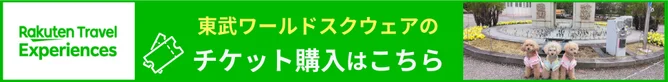 東武ワールドスクエアのチケット