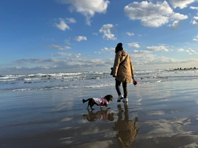 ぜひ九十九里の海さんぽをお楽しみください！