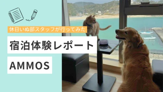 【休日いぬ部スタッフ宿泊体験レポート】AMMOSに泊まってきました!