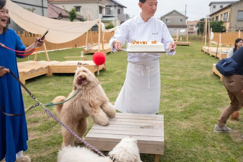 「おいしそう！」「早く食べたいよ～！」