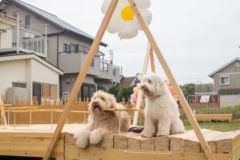 木造の温かみのあるベンチにわんこ達もリラックス♪