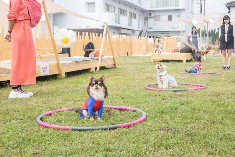 小型犬から大型犬まで大歓迎！すべてのわんちゃんが楽しめる施設です。