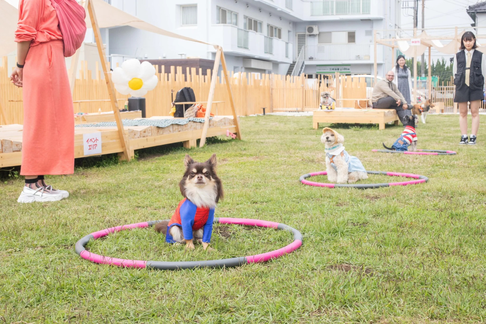 小型犬から大型犬まで大歓迎！すべてのわんちゃんが楽しめる施設です。