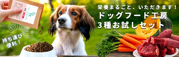 新規入会キャンペーン