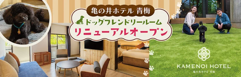 新規入会キャンペーン