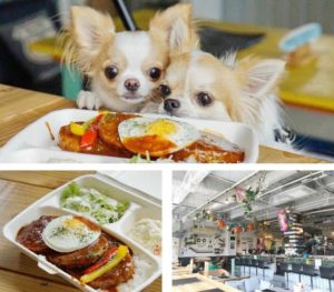大阪市内のおすすめドッグカフェ7選 店内okのカフェも多数 休日いぬ部
