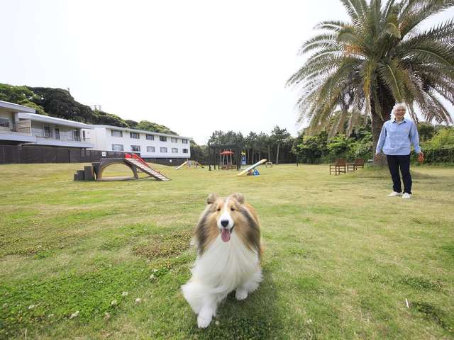 わん's LAND TATEYAMA