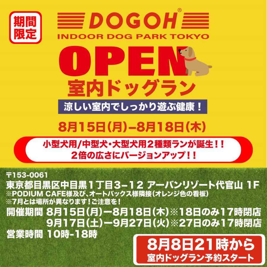 東京】室内ドッグラン「DOGOH INDOOR DOG PARK TOKYO」4日間限定