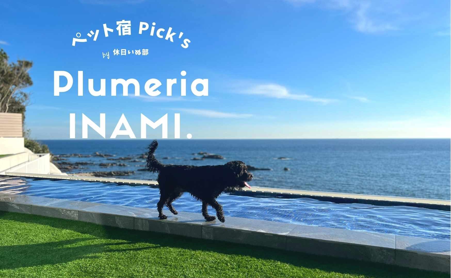【和歌山】愛犬と絶景ロケーションで過ごすヴィラ体験！Plumeria INAMI.(プルメリア印南)